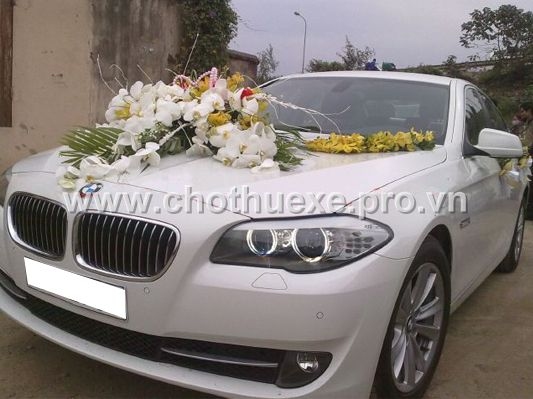 Cho thuê xe cưới màu trắng BMW 523i